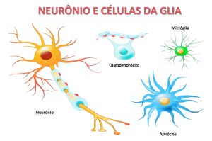 imagem mostrando celulas da glia